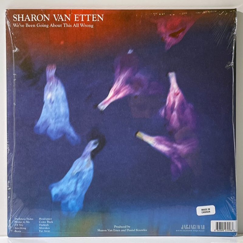 Sharon Van Etten – We've Been Going About This All Wrong