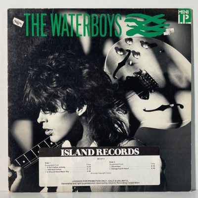 The Waterboys – The Waterboys