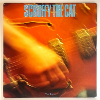 Scruffy the Cat – Tiny Days